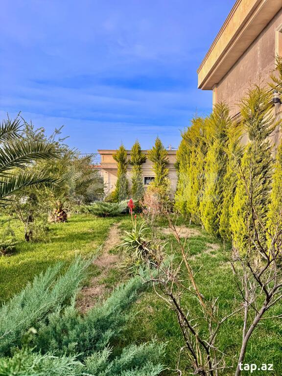Bağ evi, Buzovna qəs. (5)