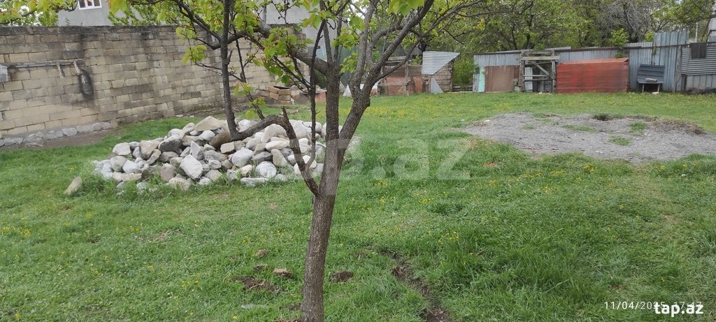 3 sot torpaq sahəsi, İsmayıllı ş. (4)