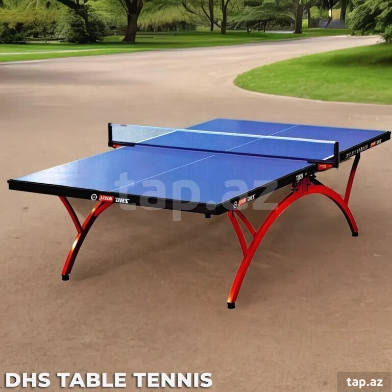 DHS table tennis