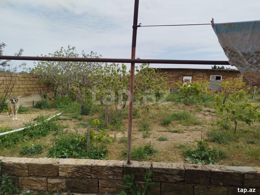 Bağ evi, Görədil qəs. (5)