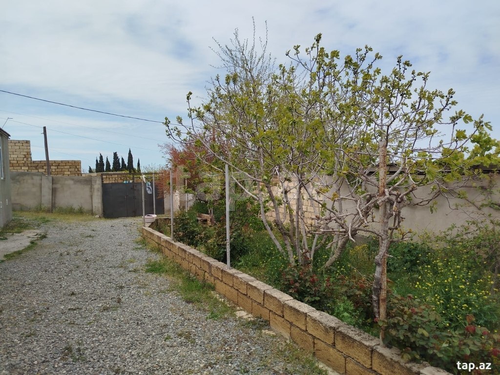Bağ evi, Görədil qəs. (3)