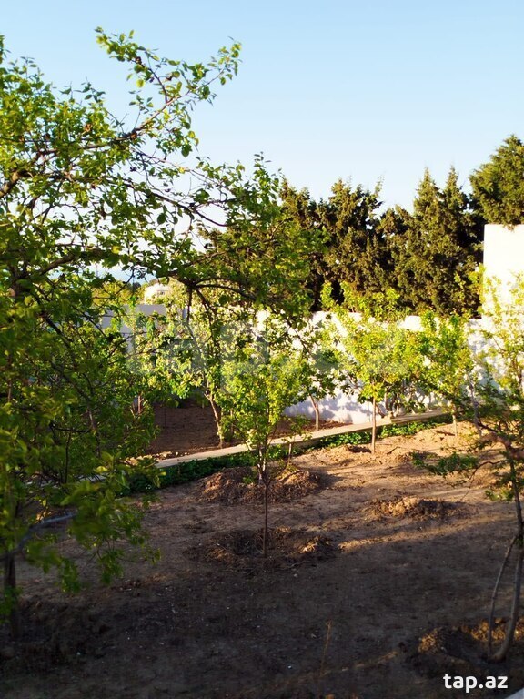 Bağ evi, Novxanı qəs.
