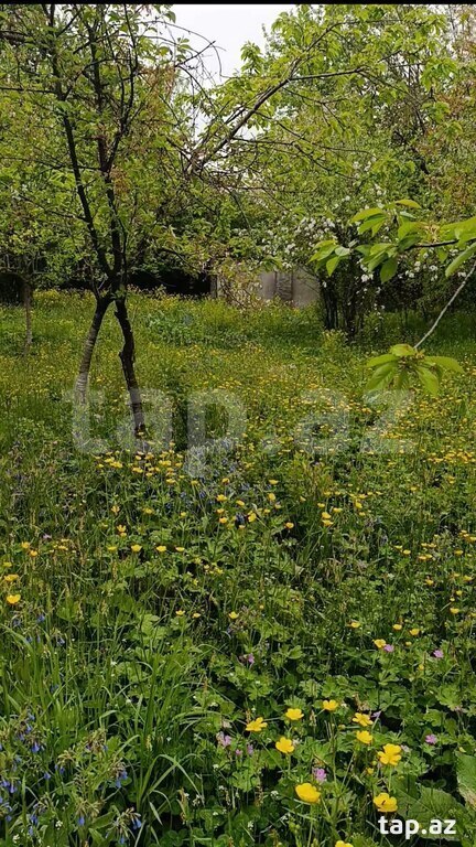 Bağ evi, Quba r.