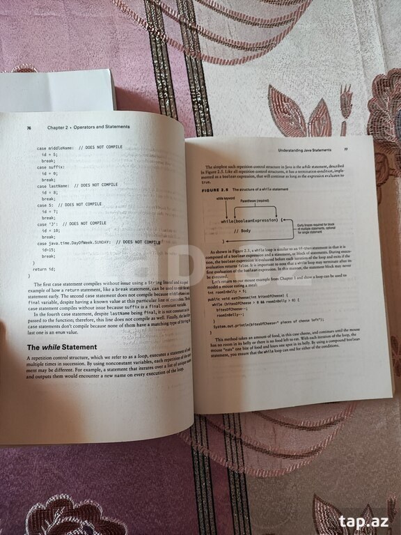 "Java OCA" kitabları (3)