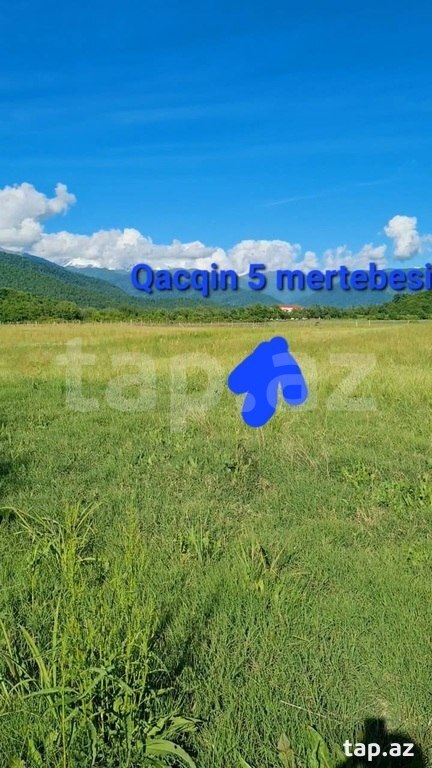 60 sot torpaq sahəsi, Zaqatala ş.