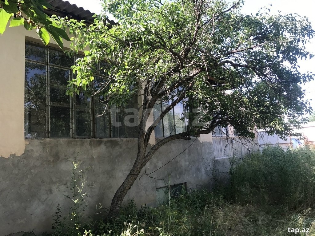 40 sot torpaq sahəsi, Naxçıvan ş. (3)