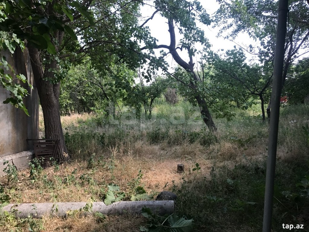 40 sot torpaq sahəsi, Naxçıvan ş. (6)
