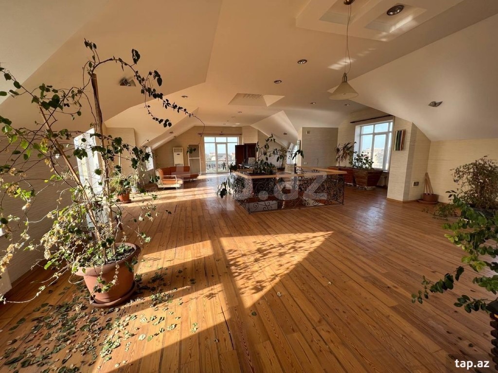 Bağ evi, Novxanı qəs. (14)