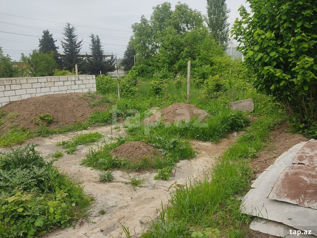 8 sot torpaq sahəsi, Qazax r. (10)