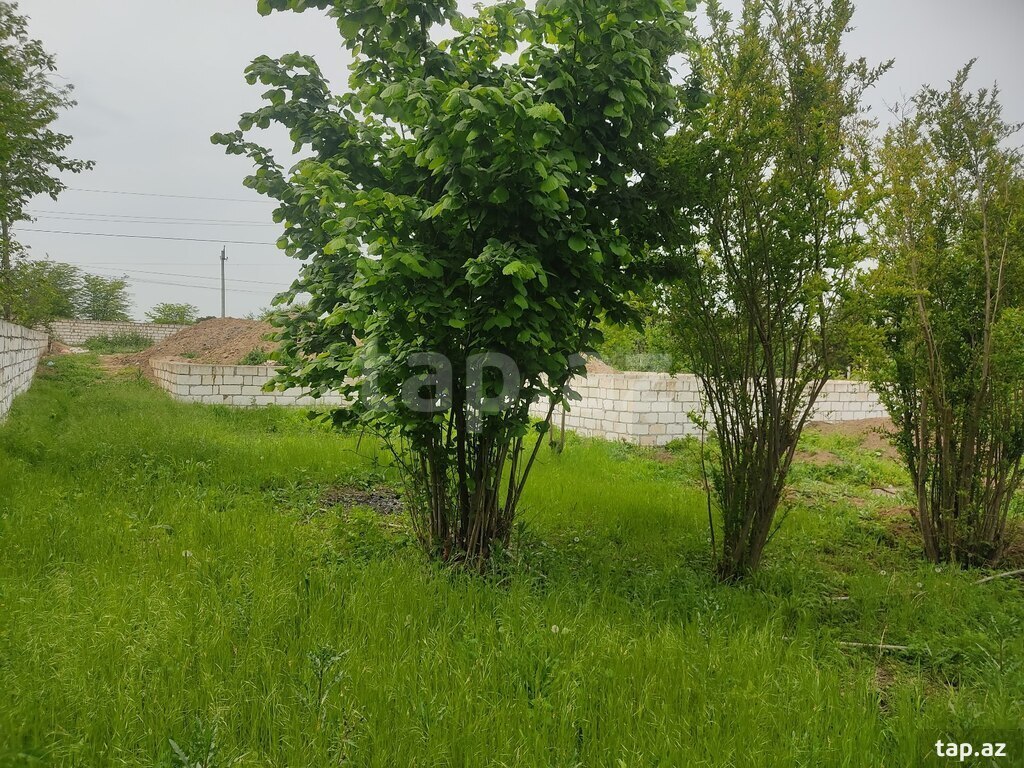 8 sot torpaq sahəsi, Qazax r. (13)