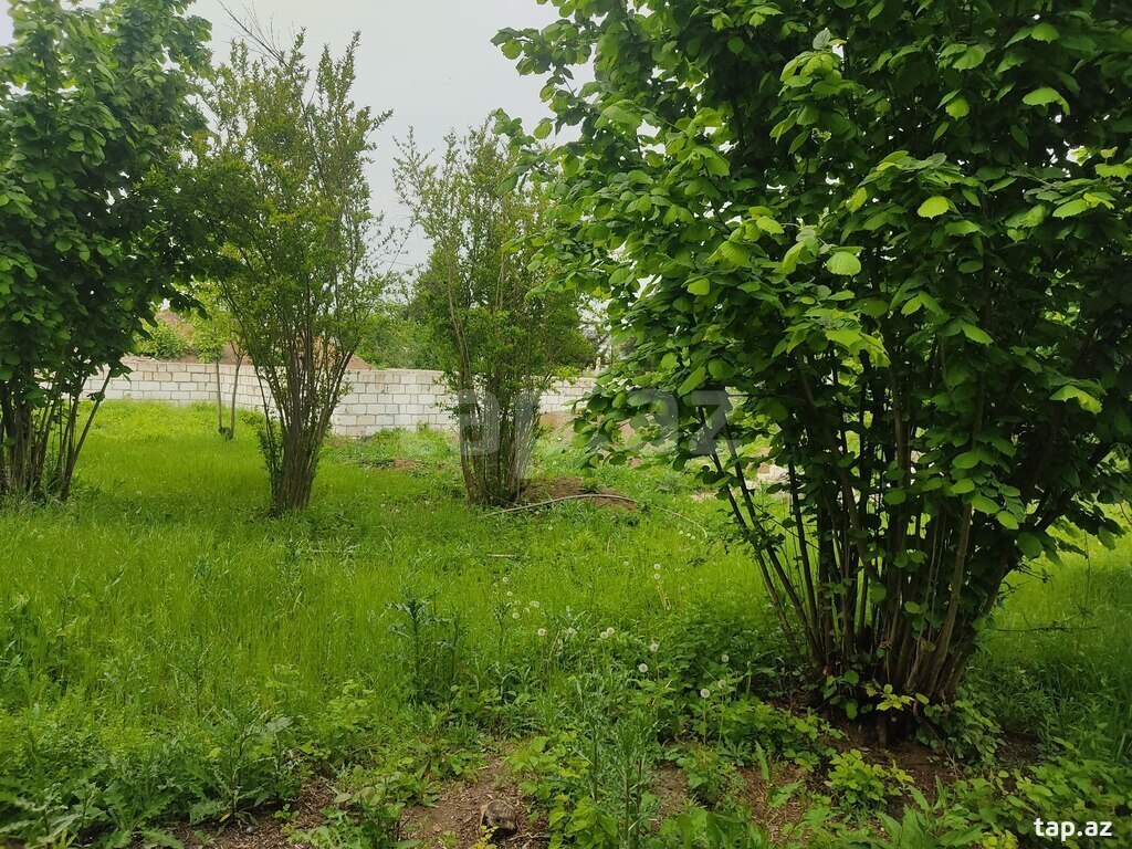 8 sot torpaq sahəsi, Qazax r. (15)