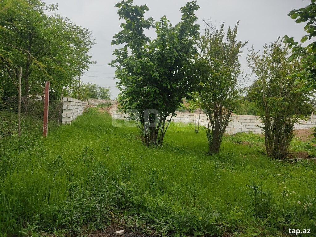 8 sot torpaq sahəsi, Qazax r. (14)