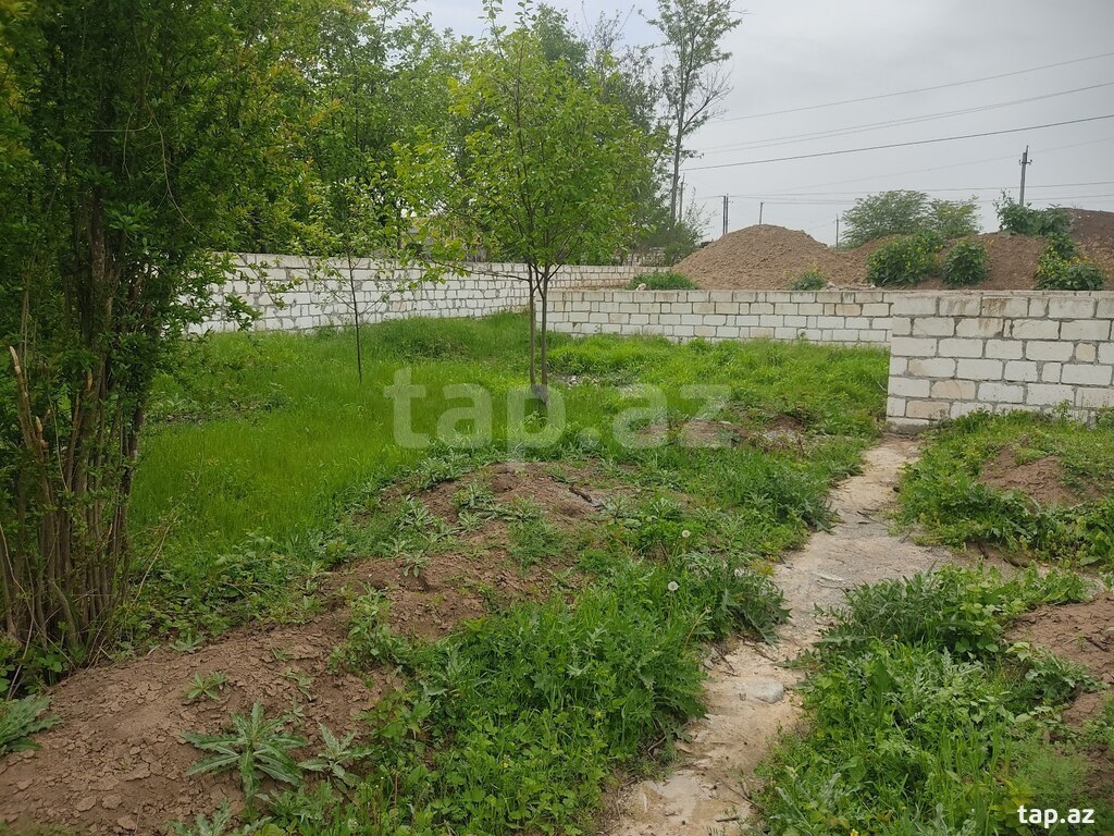 8 sot torpaq sahəsi, Qazax r. (19)