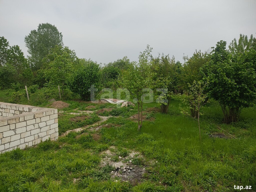 8 sot torpaq sahəsi, Qazax r. (21)