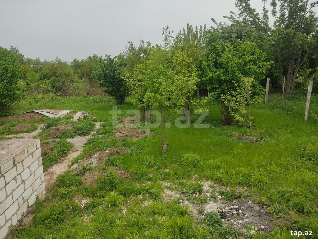 8 sot torpaq sahəsi, Qazax r. (22)
