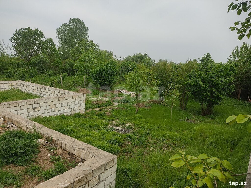 8 sot torpaq sahəsi, Qazax r. (25)