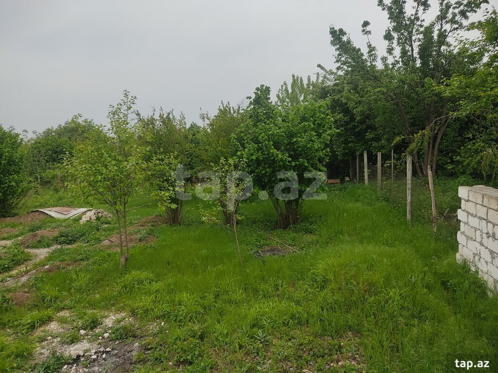 8 sot torpaq sahəsi, Qazax r. (24)