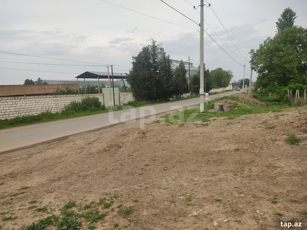 8 sot torpaq sahəsi, Qazax r. (28)