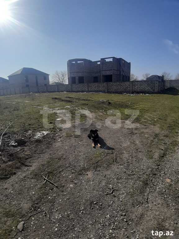 8 sot torpaq sahəsi, Xaçmaz r. (5)