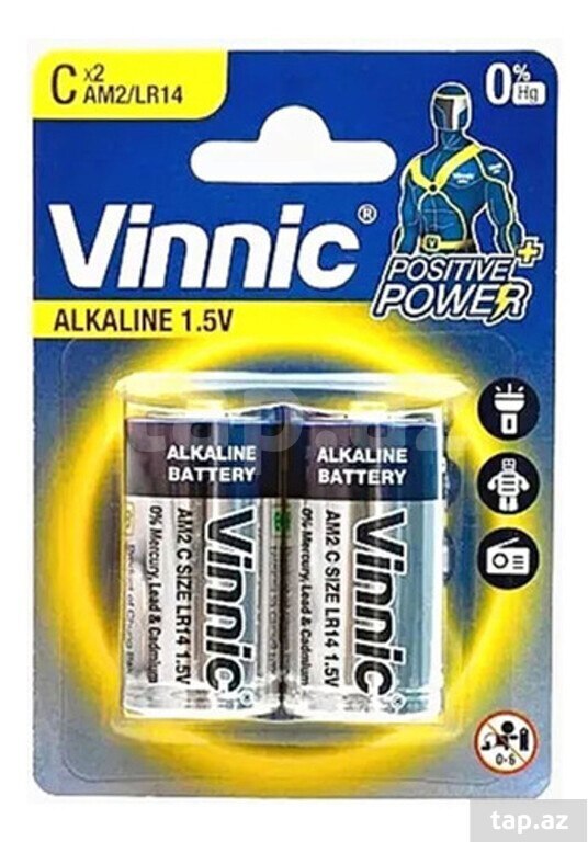 Battery "VINNIC"