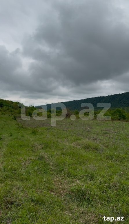 200 sot torpaq sahəsi, Qusar r. (3)