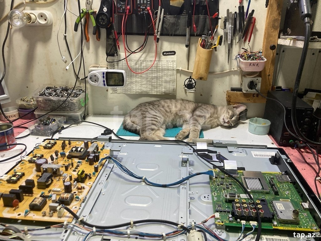 Monitor və noutbuk ekranı təmiri