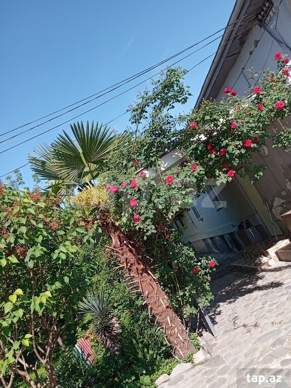 Həyət evi, İsmayıllı r.
