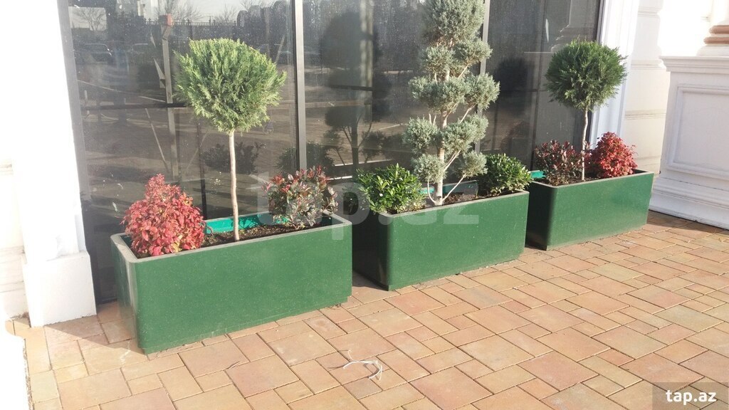 Bağ aksesuarlarının sifarişi  (24)