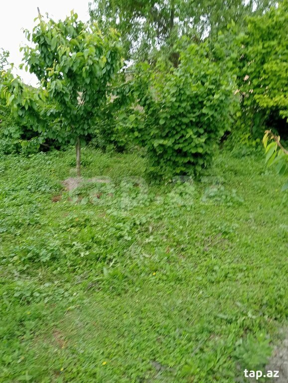 Bağ evi, Xaçmaz r.