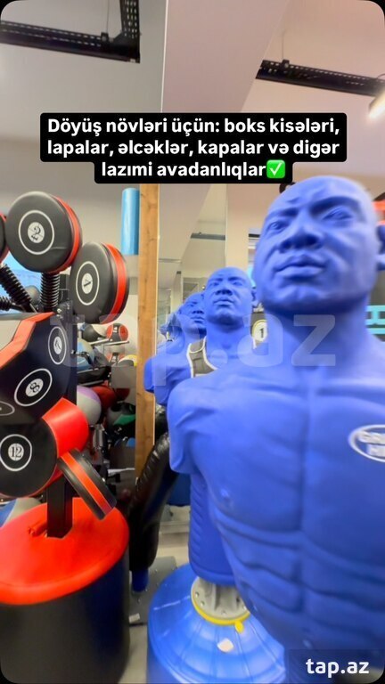 Boks kisələri (7)