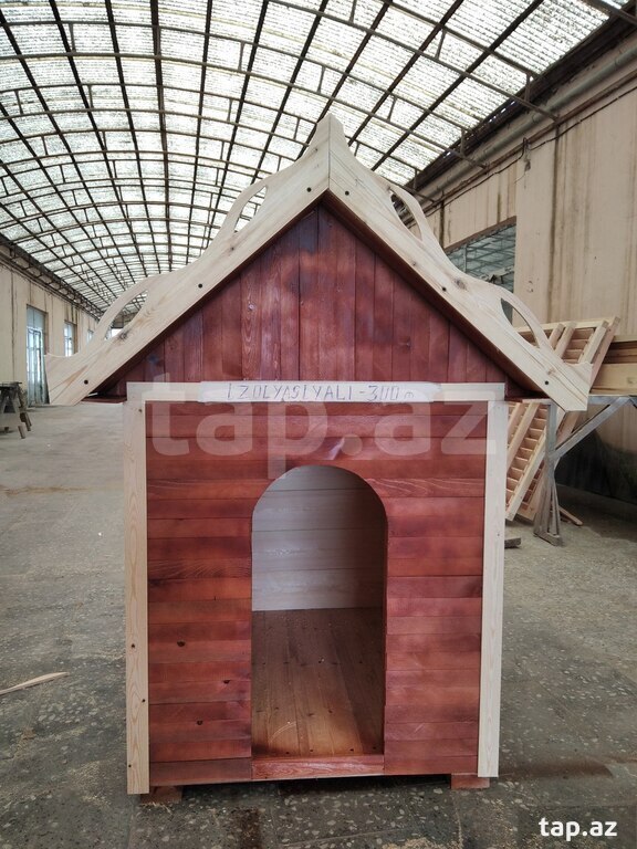 İt yuvası və toyuq hini (6)