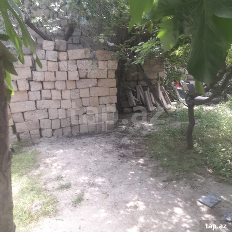 1 sot torpaq sahəsi, Xətai r.