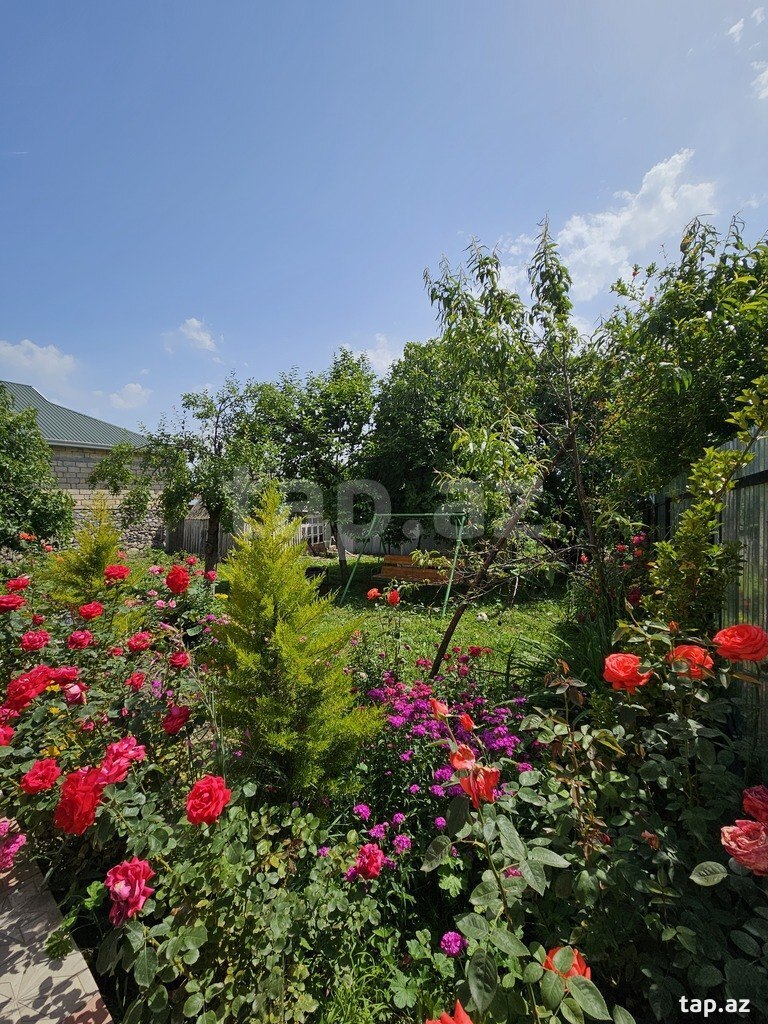 Həyət evi kirayə verilir, İsmayıllı r.
