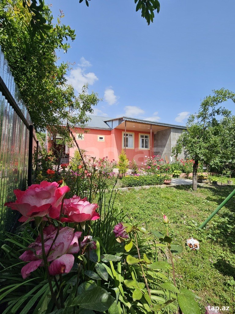 Həyət evi kirayə verilir, İsmayıllı r. (7)