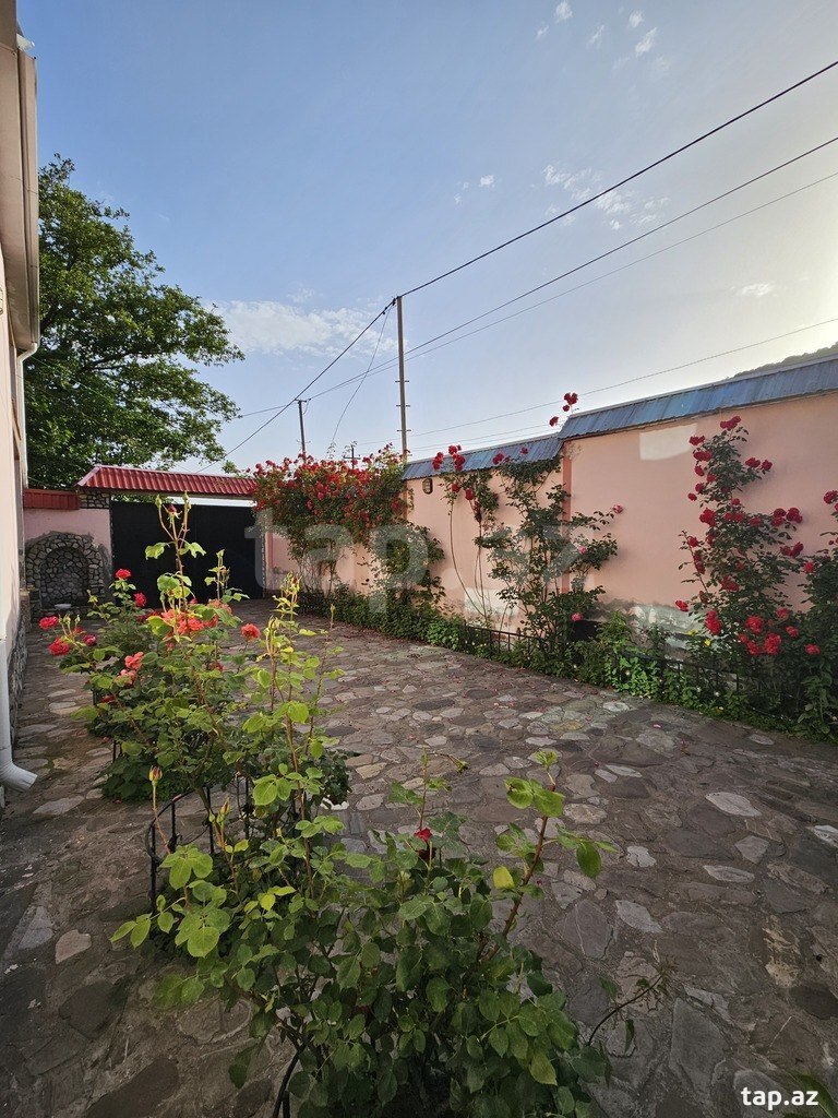 Həyət evi kirayə verilir, İsmayıllı r. (10)