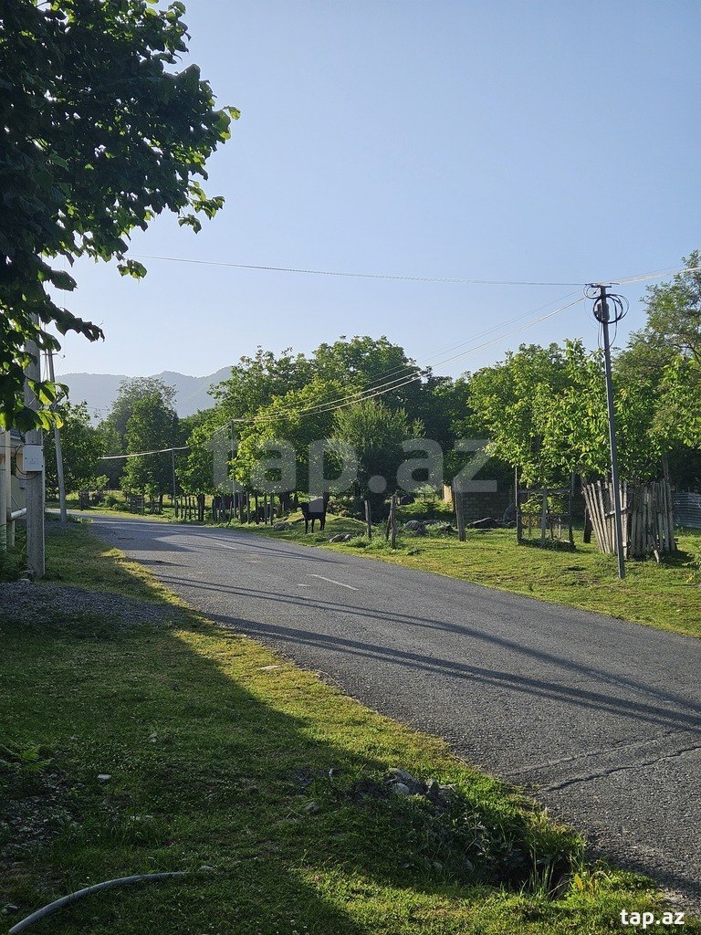 Həyət evi kirayə verilir, İsmayıllı r. (23)