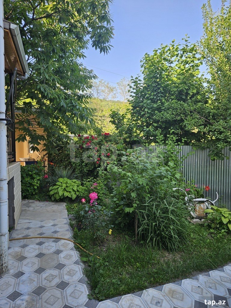 Həyət evi kirayə verilir, İsmayıllı r. (14)