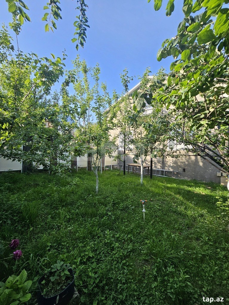 Həyət evi kirayə verilir, İsmayıllı r. (6)