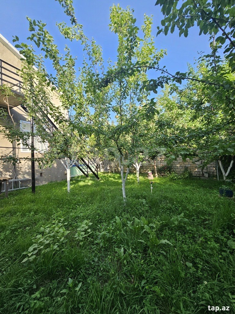 Həyət evi kirayə verilir, İsmayıllı r. (7)