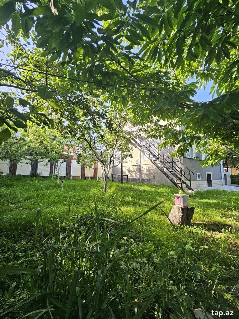 Həyət evi kirayə verilir, İsmayıllı r. (9)