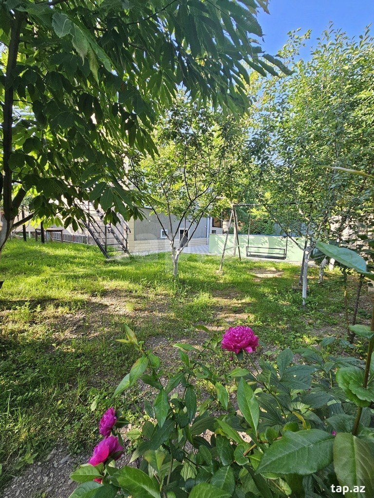 Həyət evi kirayə verilir, İsmayıllı r. (8)