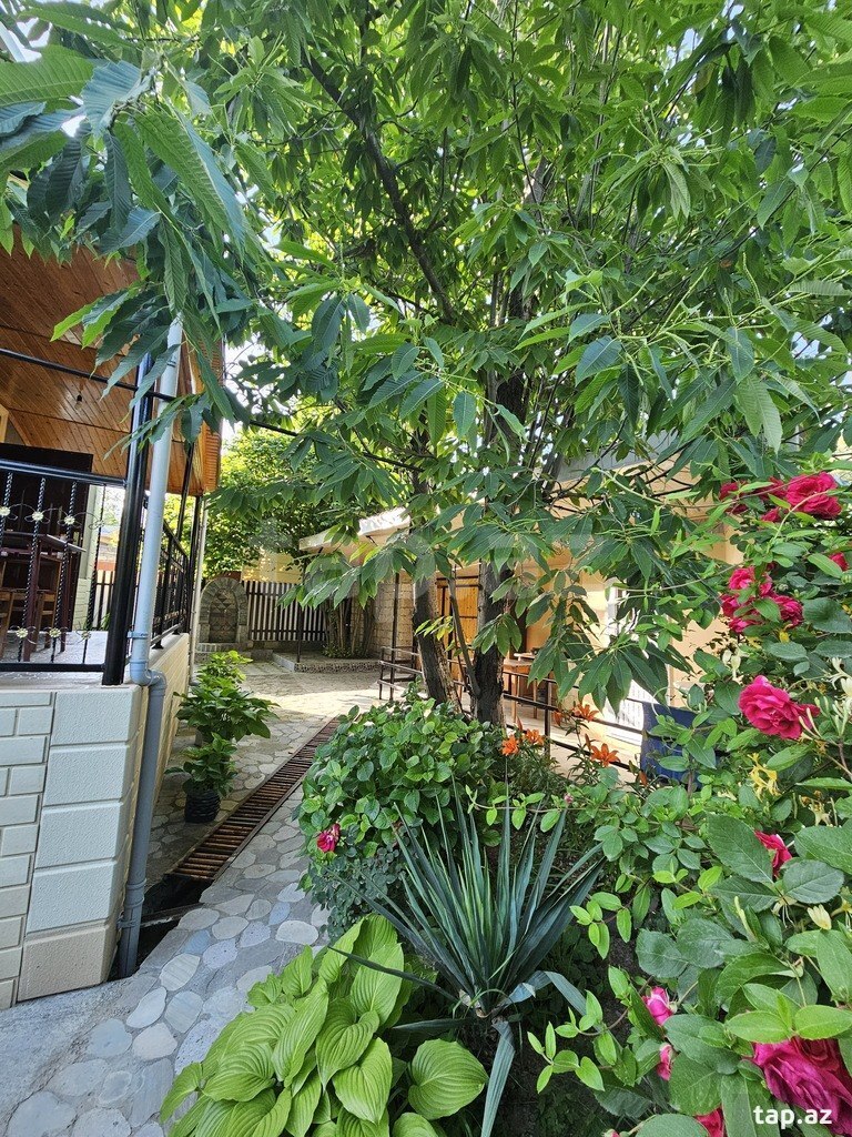 Həyət evi kirayə verilir, İsmayıllı r. (15)