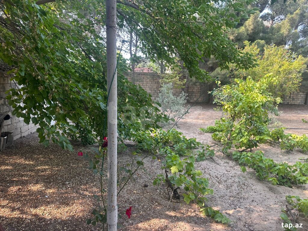 Bağ evi kirayə verilir, Novxanı qəs.