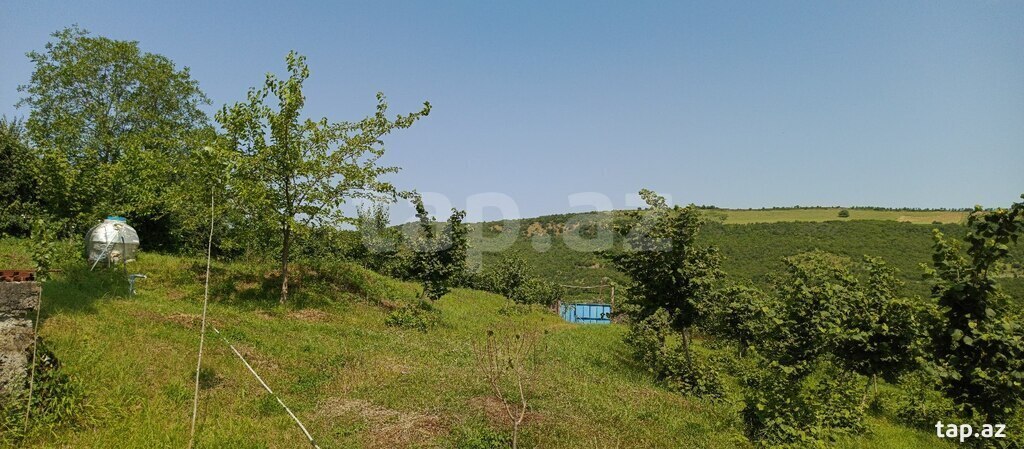 12 sot torpaq sahəsi, Quba r. (3)