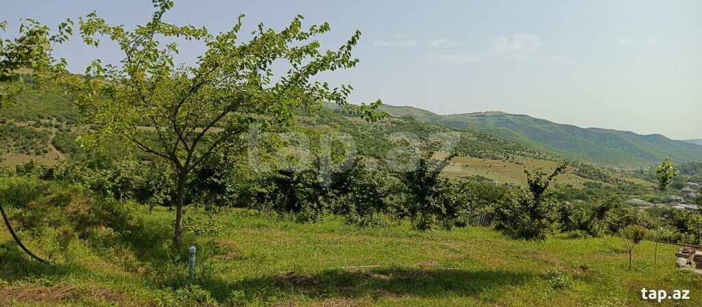 12 sot torpaq sahəsi, Quba r. (4)