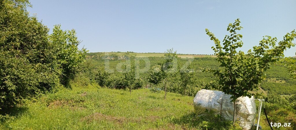 12 sot torpaq sahəsi, Quba r.