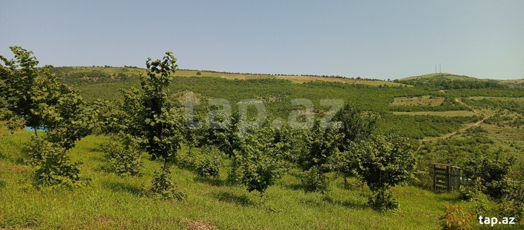 12 sot torpaq sahəsi, Quba r. (6)