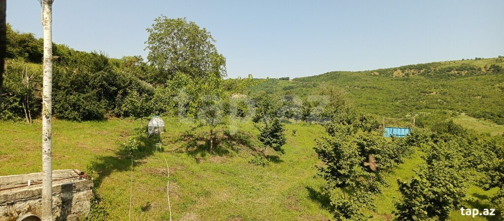12 sot torpaq sahəsi, Quba r. (10)