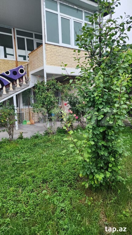 Həyət evi kirayə verilir, Şəki ş. (7)