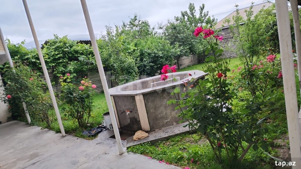 Həyət evi kirayə verilir, Şəki ş. (19)